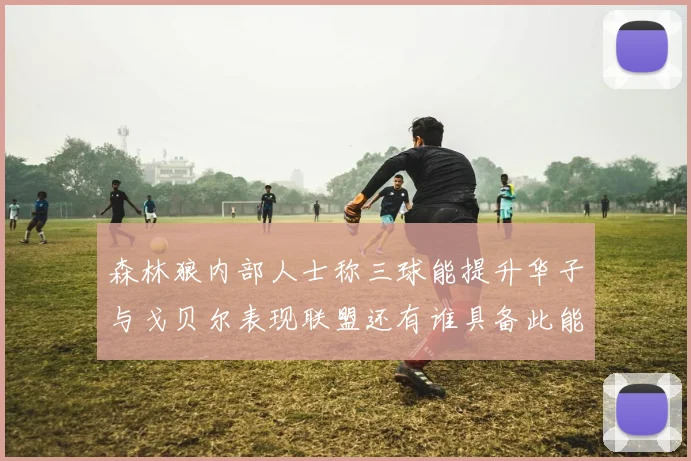 森林狼内部人士称三球能提升华子与戈贝尔表现联盟还有谁具备此能力